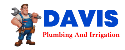 Trusted plumber in ILA